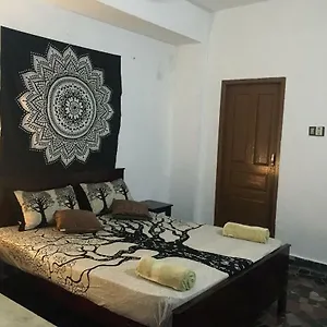 https://zen-house.kerala-hotels.net